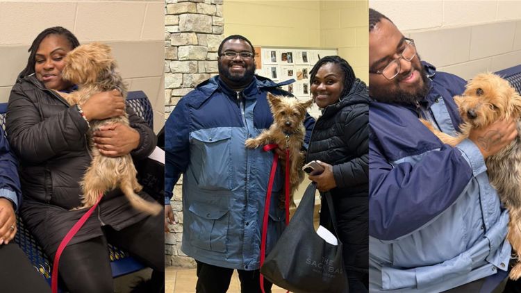 Maryland family reunited with pup missing for 3 years