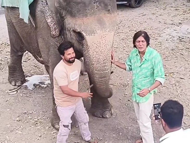 Bollywood actor Chunky Pandey reached Corbett Tiger Reserve: Enjoyed jungle safari, posed for a photo with an elephant – Nainital News