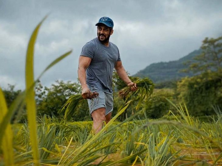 High Court reprimands Salman Khan’s neighbor: Asked to remove video against Salman; The actor had filed a defamation case